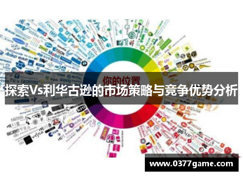 探索Vs利华古逊的市场策略与竞争优势分析